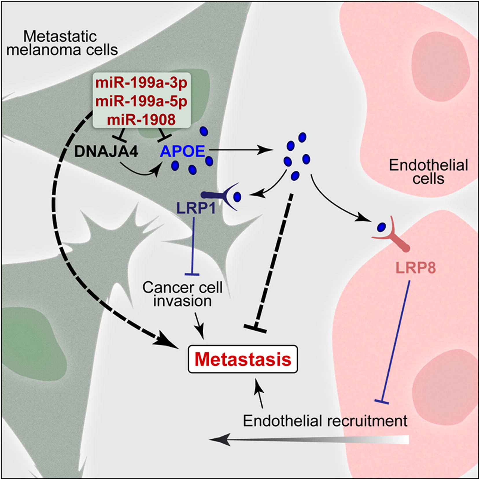 Graphical abstract
